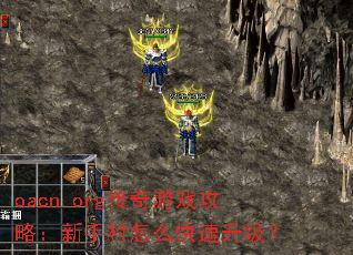 oacn.org传奇游戏攻略:新手村怎么快速升级? oacn.org传奇游戏攻略:新手村怎么快速升级?