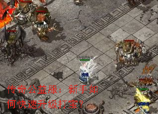 传奇公益服:新手如何快速升级打宝? 传奇公益服:新手如何快速升级打宝?