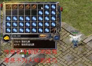 传奇私服新区冲级有哪些不为人知的技巧 传奇私服新区冲级有哪些不为人知的技巧