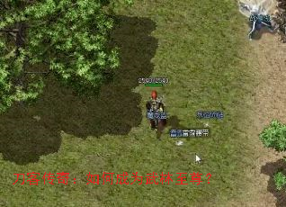 刀客传奇:如何成为武林至尊? 刀客传奇:如何成为武林至尊?