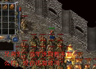 兄弟们,当年沃玛教主怎么打,现在还有效吗? 兄弟们,当年沃玛教主怎么打,现在还有效吗?