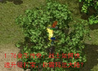 1.76Ҵ棺սʿο򱦣ư귨½