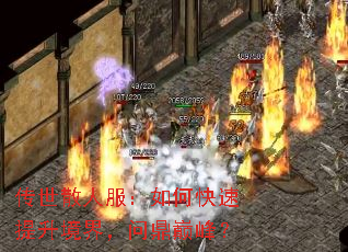 传世散人服:如何快速提升境界,问鼎巅峰? 传世散人服:如何快速提升境界,问鼎巅峰?