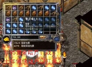 1.95黄金皓月:战士如何快速升级打金? 1.95黄金皓月:战士如何快速升级打金?