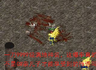 一刀9999级满地神装,这爆率真的不是GM亲儿子才能享受到的待遇吗? 一刀9999级满地神装,这爆率真的不是GM亲儿子才能享受到的待遇吗?