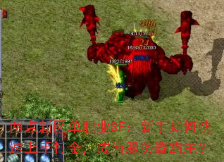 两点新区单职业SF:新手如何快速上手打金,成为服务器霸主? 两点新区单职业SF:新手如何快速上手打金,成为服务器霸主?
