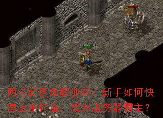 两点新区单职业SF:新手如何快速上手打金,成为服务器霸主? 两点新区单职业SF:新手如何快速上手打金,成为服务器霸主?