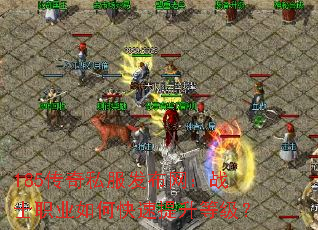 185传奇私服发布网:战士职业如何快速提升等级? 185传奇私服发布网:战士职业如何快速提升等级?