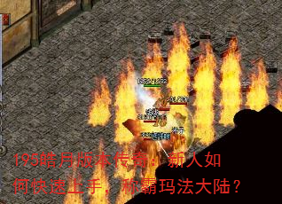 195°汾棺ο֣ư귨½