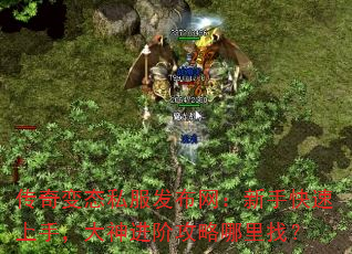 传奇变态私服发布网:新手快速上手,大神进阶攻略哪里找? 传奇变态私服发布网:新手快速上手,大神进阶攻略哪里找?