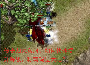 传奇归来私服:如何快速提升等级,称霸玛法大陆? 传奇归来私服:如何快速提升等级,称霸玛法大陆?