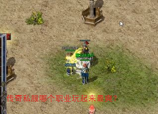 传奇私服哪个职业玩起来最爽? 传奇私服哪个职业玩起来最爽?