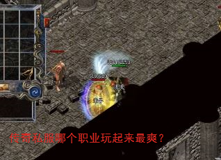 传奇私服哪个职业玩起来最爽? 传奇私服哪个职业玩起来最爽?