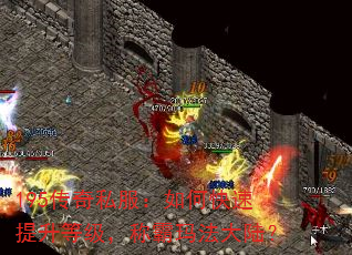 195传奇私服:如何快速提升等级,称霸玛法大陆? 195传奇私服:如何快速提升等级,称霸玛法大陆?