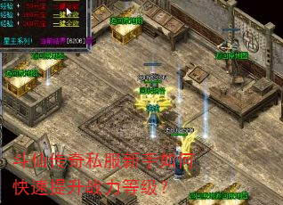 斗仙传奇私服新手如何快速提升战力等级? 斗仙传奇私服新手如何快速提升战力等级?
