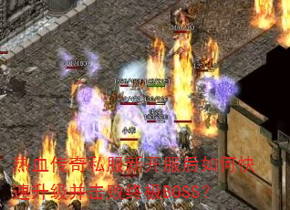热血传奇私服新开服后如何快速升级并击败终极BOSS? 热血传奇私服新开服后如何快速升级并击败终极BOSS?