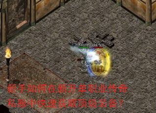 新手如何在新开单职业传奇私服中快速获取顶级装备? 新手如何在新开单职业传奇私服中快速获取顶级装备?