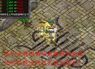 新手必看传奇私服新服开服后如何快速提升战力成为霸主? 新手必看传奇私服新服开服后如何快速提升战力成为霸主?
