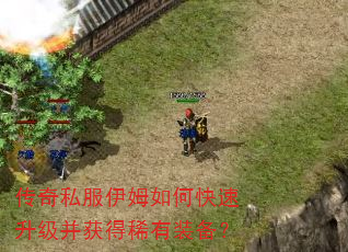 传奇私服伊姆如何快速升级并获得稀有装备? 传奇私服伊姆如何快速升级并获得稀有装备?