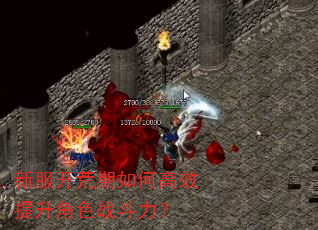 新服开荒期如何高效提升角色战斗力? 新服开荒期如何高效提升角色战斗力?