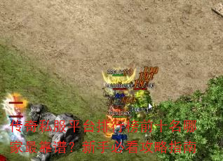 ˽ƽ̨аǰʮļףֱؿָ