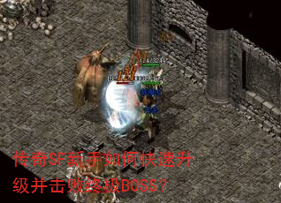 传奇SF新手如何快速升级并击败终极BOSS? 传奇SF新手如何快速升级并击败终极BOSS?