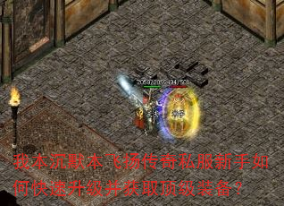 我本沉默本飞扬传奇私服新手如何快速升级并获取顶级装备? 我本沉默本飞扬传奇私服新手如何快速升级并获取顶级装备?