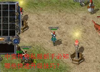 中变传奇私服新手必知哪些快速升级技巧? 中变传奇私服新手必知哪些快速升级技巧?