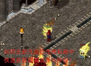 如何在新开变态传奇私服中快速获取稀有装备与升级? 如何在新开变态传奇私服中快速获取稀有装备与升级?