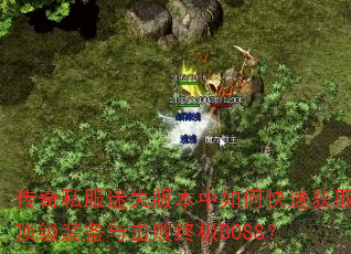 ˽ʧ汾οٻȡװռBOSS