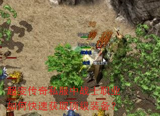 䴫˽սʿְҵοٻȡװ