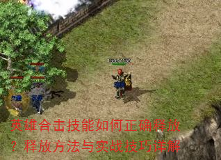 英雄合击技能如何正确释放?释放方法与实战技巧详解 英雄合击技能如何正确释放?释放方法与实战技巧详解