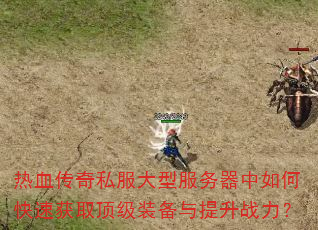 热血传奇私服大型服务器中如何快速获取顶级装备与提升战力? 热血传奇私服大型服务器中如何快速获取顶级装备与提升战力?