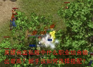 英雄合击私服中什么职业组合输出最高?新手该如何选择搭配? 英雄合击私服中什么职业组合输出最高?新手该如何选择搭配?