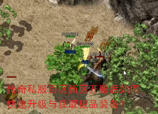 传奇私服百区新区开服后如何快速升级与获取极品装备? 传奇私服百区新区开服后如何快速升级与获取极品装备?