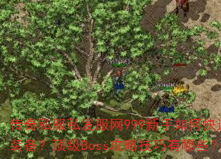 ˽˽999οˢװBossԼЩ
